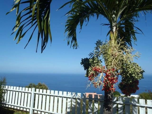 Les Kreol'Inns Chalets De Charme Saint-Leu Dış mekan fotoğraf
